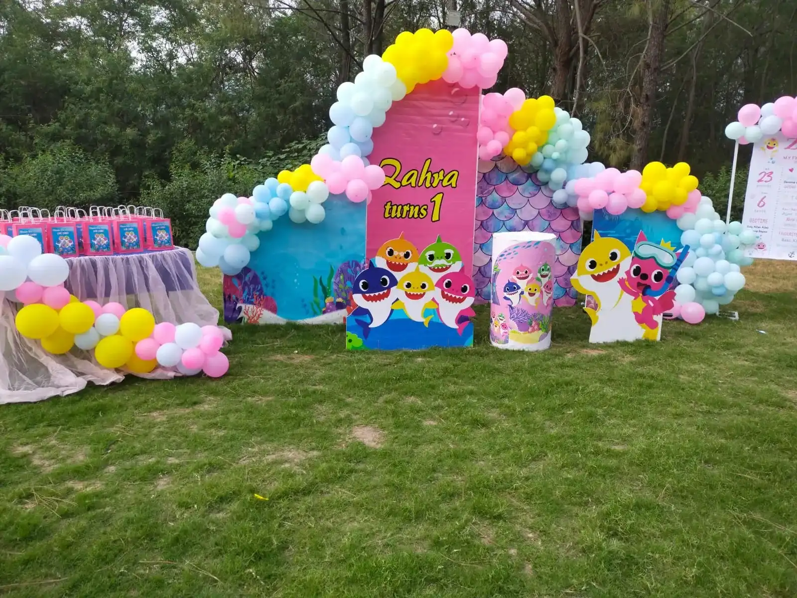 Birthday Decor Setup styled view